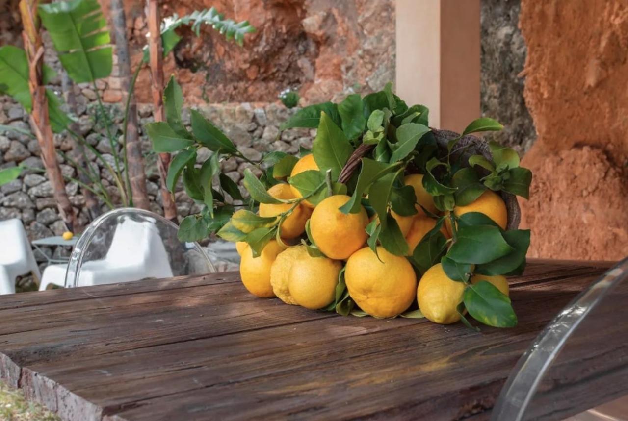 Can Gari Sóller Dış mekan fotoğraf